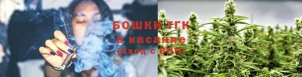 2c-b Горно-Алтайск