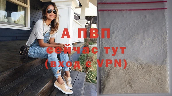 2c-b Горно-Алтайск