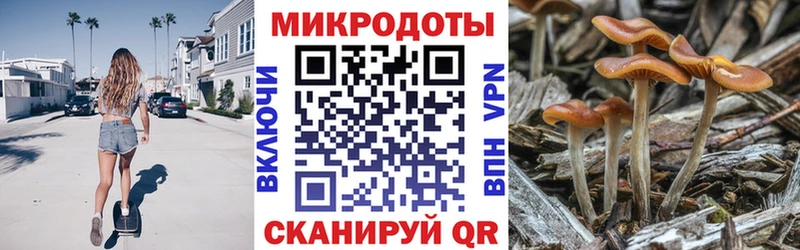 это формула  Кизляр  Галлюциногенные грибы Magic Shrooms 