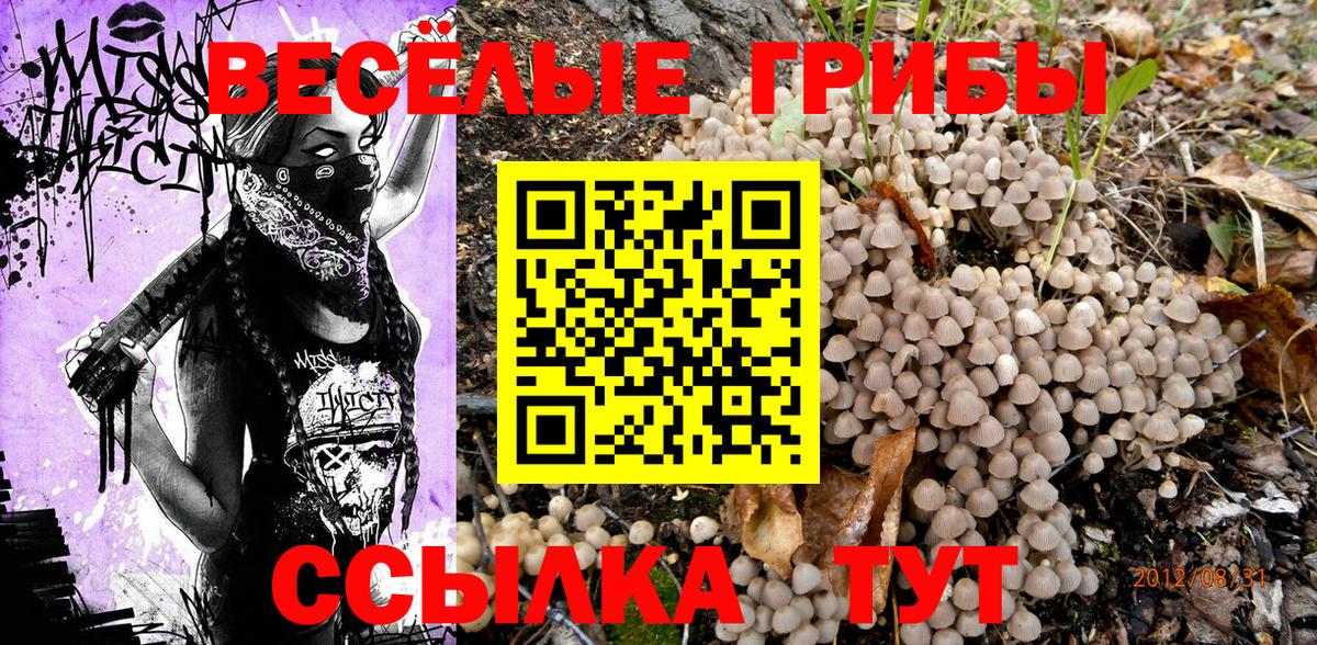 Галлюциногенные грибы Psilocybe  Вход с VPN  Кизляр  даркнет сайт  Псилоцибиновые грибы Magic Shrooms 